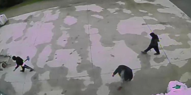 Saman Abbas, in un video tre uomini con pale e sacco