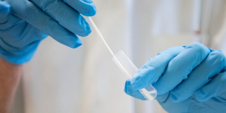 Covid Germania, per la prima volta in 10 mesi meno di 500 contagi in 24 ore