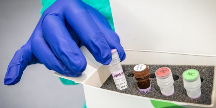 Covid Fvg, oggi 25 contagi e nessun morto: bollettino 9 giugno