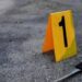 “Troppe armi da fuoco e coltelli in giro”, Pd chiede lo stop in due proposte di legge