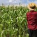 Fao sigla lettera d’intenti con Cdp per rafforzare collaborazione