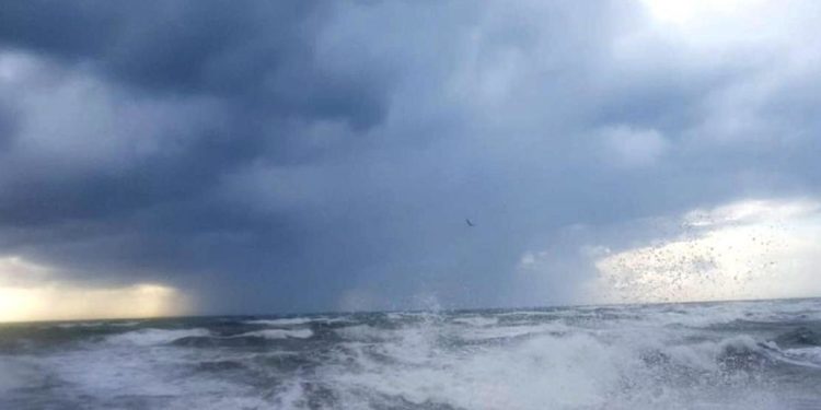 G20, la storica ambientalista Mariagrazia Midulla: “Sul clima tutti hanno da perdere tutto”