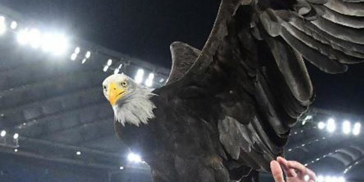 Lazio, addestratore Olympia: “Sono di destra, il mio è saluto militare”