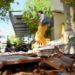 Terremoto a Bali, scossa magnitudo 4.8: 3 morti