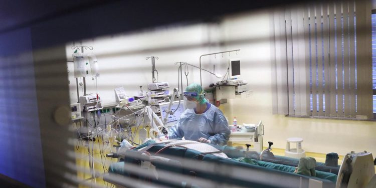 Covid, antivirale molnupiravir dimezza ricoveri e morte: verso richiesta autorizzazione