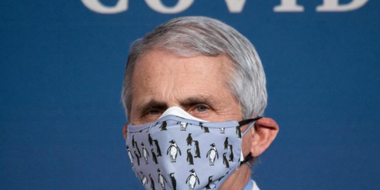 Pillola anti covid, Fauci: “Dati sono impressionanti”