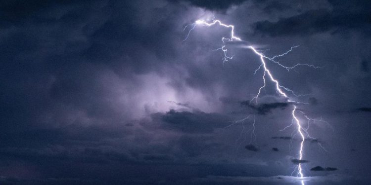 Massa, fulmine stermina gregge di capre