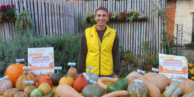 Halloween, allarme Coldiretti: “Clima pazzo cancella 10% zucche”