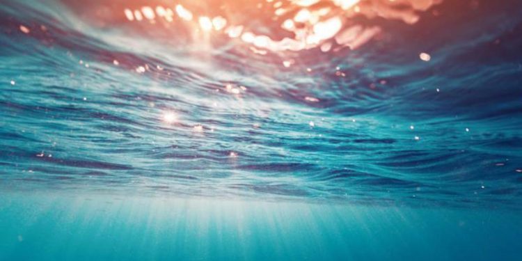 Mostre: ‘IllusiOcean’, Leone (Direttore Focus), ‘Un modo originale e divertente per diffondere conoscenza’