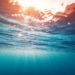 Mostre: ‘IllusiOcean’, Leone (Direttore Focus), ‘Un modo originale e divertente per diffondere conoscenza’