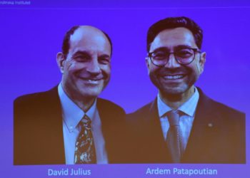 Premio Nobel Medicina, chi sono i vincitori