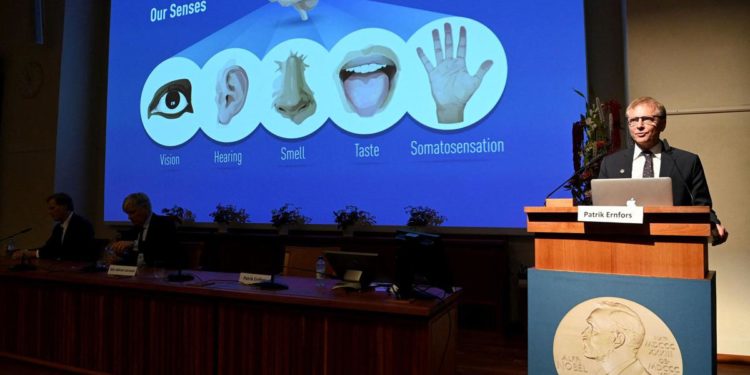 Nobel Medicina 2021, premio al senso della pelle per carezze e calore