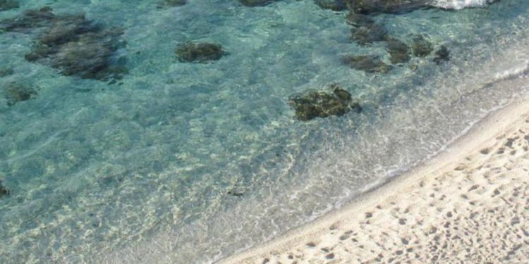 ‘IllusiOcean’, Galli: “Illusione e scienza si fondono per parlare la lingua della bellezza”