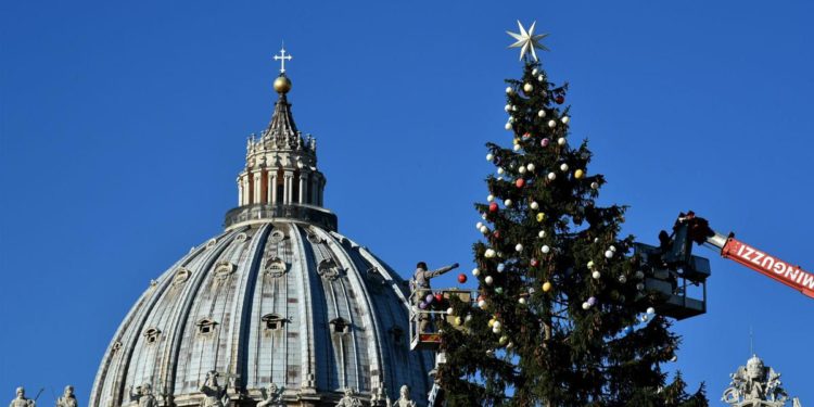 Vaticano, dal Perù presepe in piazza San Pietro. Trentino dona abete di 28 metri