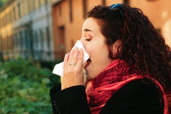 Influenza, guida per rafforzare le difese a tavola: “Da vecchi rimedi a novità ‘green'”
