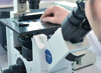 Tumori, nuova molecola blocca crescita cellule malate