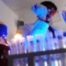 Mandare tumori in tilt con la dieta, da Ue 1,5 mln a scienziato Ifom-Int Milano