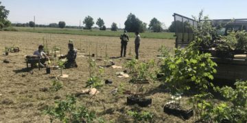 Nasce ‘Foresta Bms’, da qui al 2025 piantati 2500 alberi