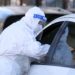 Covid oggi Puglia, 5.514 contagi e nessun morto: bollettino 5 gennaio