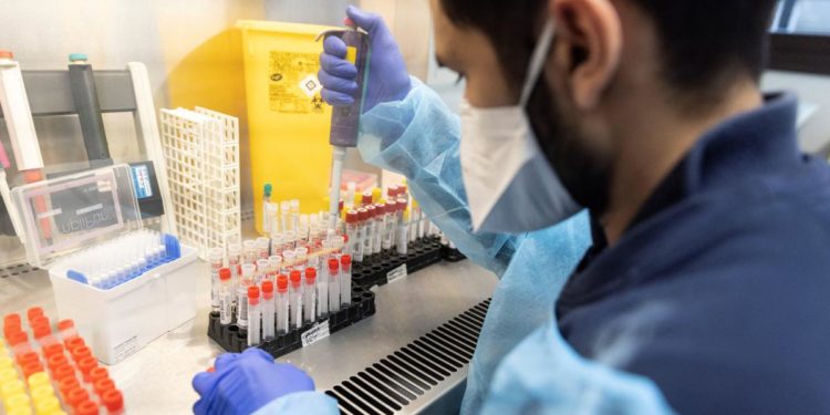 Variante Omicron, Bassetti: “Test antigenici rapidi non la rilevano, numeri falsati”