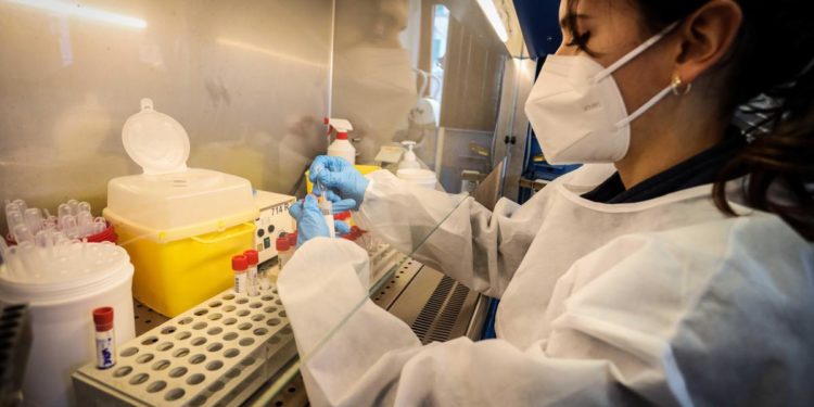 Covid oggi Calabria, 3.653 contagi e 8 morti: bollettino 14 gennaio