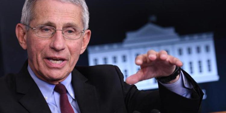 Variante Omicron, Fauci: “Picco ondata contagi Usa entro metà febbraio”