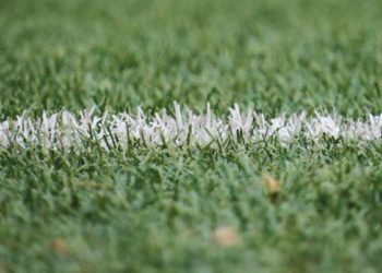 Calcio, rugby e basket soddisfatti del nuovo protocollo covid, ora ‘palla’ al Cts