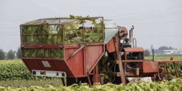 Smart farming e strumenti contrattuali nel Piano strategico Pac 2023-27