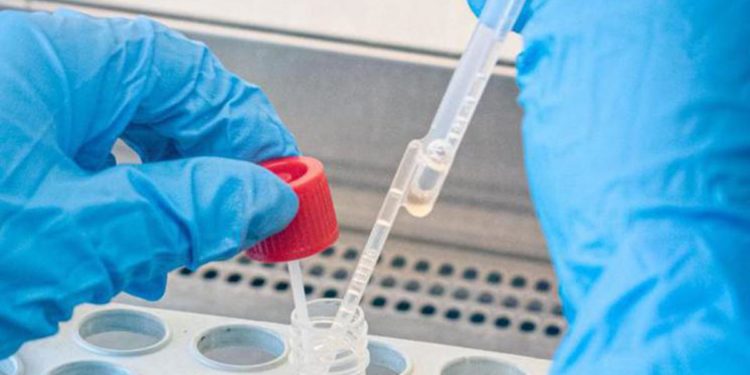 Variante Omicron 3 volte più contagiosa di Delta: quanto dura infezione