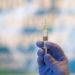 Vaccini covid, Viola: “Effetto nocebo? Mostra che male fanno fake news”