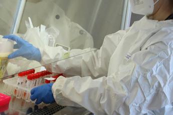 Covid, Iss: “Smog incide su rischio infezione e mortalità soprattutto in anziani”