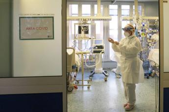 Covid, ‘Pirola sembra meno infettiva ma sfugge ad anticorpi XBB’: primi dati