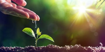 Arriva il biologo di comunità per accelerare il percorso di transizione ecologica