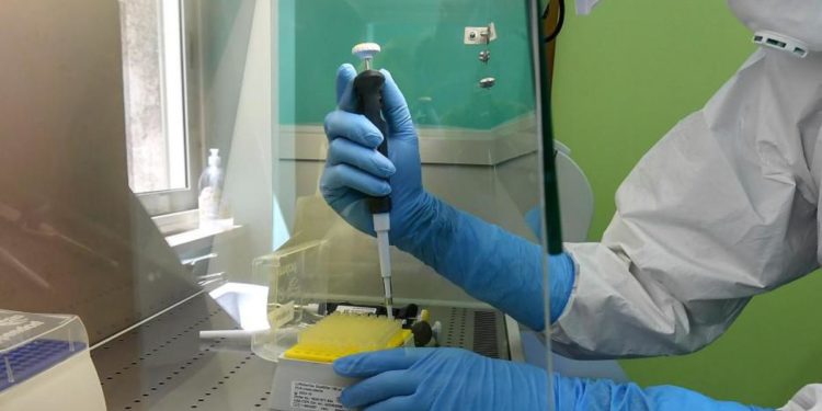 Variante Omicron, Iss: “Al 99,1% il 31 gennaio”