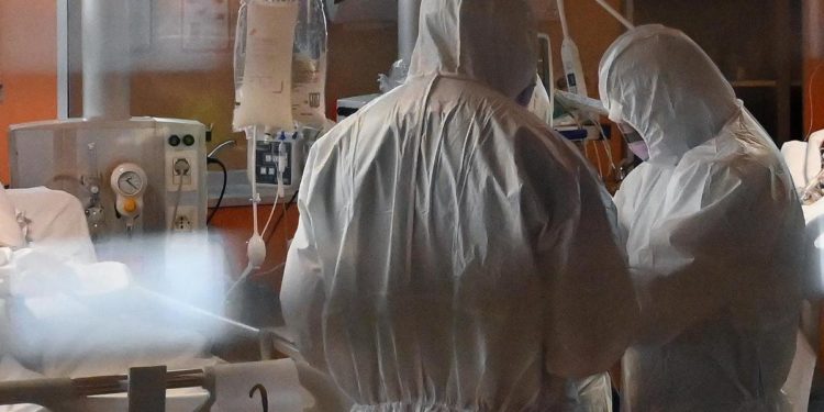 Covid, infettivologi: “Da pandemia a endemia: strategici monoclonali e antivirali”