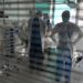 Covid oggi Italia, Iss: mortalità tra no vax 25 volte più alta