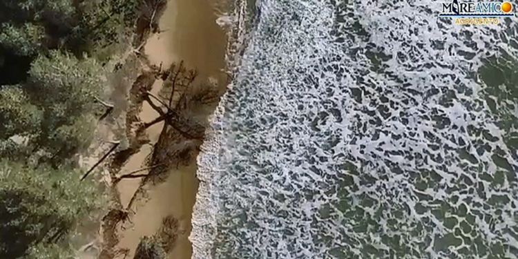 Mareamico: “Mareggiata ha cancellato fascia boschetto Eraclea Minoa’