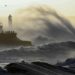 Tempeste in nord Europa: vittime, danni e migliaia senza luce
