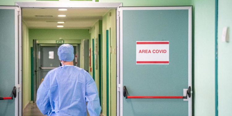 Covid Italia, perché ancora tanti morti? Cosa dicono Galli, Pregliasco, Crisanti