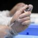 Vaccini Covid, la proposta: “Superare la ‘taglia unica’ per tutti”