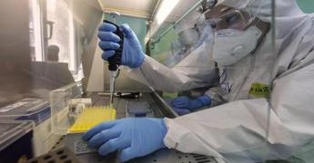 Covid, nuovo test misura difese organismo contro virus