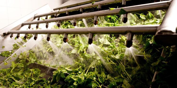 Achilli (Barilla): “Percorso che passa per promozione biodiversità”