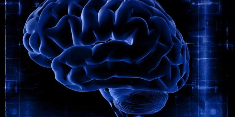 Covid può rimpicciolire il cervello: lo studio