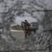 Guerra Ucraina-Russia, ultime notizie oggi tempo reale: news 10 marzo
