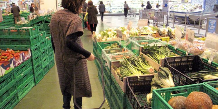 Ucraina, Ismea: “Aumento costi materie prime ed energia rallentano crescita agroalimentare”