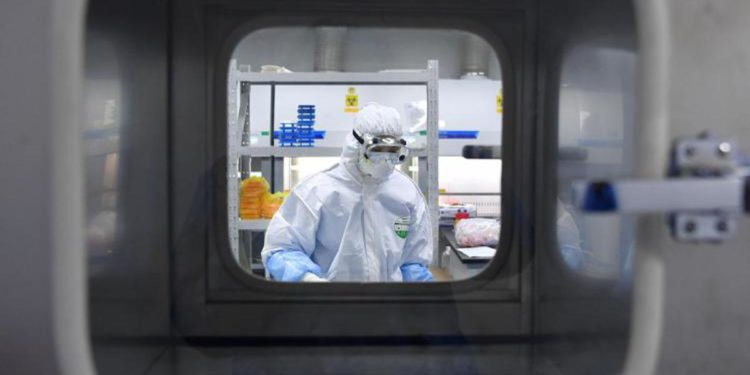 Covid, Palù: “Nuovi indizi che virus sia fuggito da laboratorio”