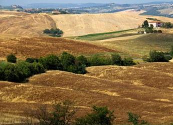 Agriturismo, settore vale 12,5 mld, aziende sono 25.390 in Italia