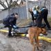 Fossa comune Bucha, Russia: “Provocazione Ucraina”