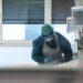 Covid oggi Toscana, 4.464 contagi: bollettino 22 aprile
