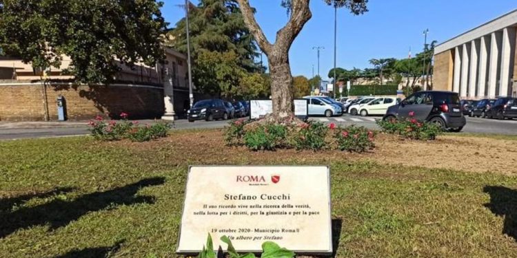 Sentenza Cucchi, legale del cc Di Bernardo: “Si è costituito in caserma”